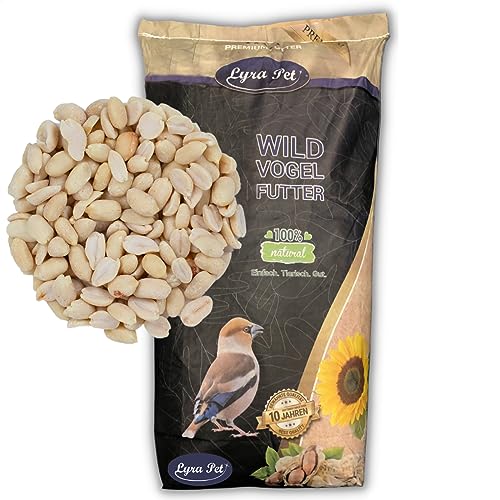 Lyra Pet® 25 kg Erdnusskerne ganze und halbe blanchiert Wildvögel HK Asien von Lyra Pet