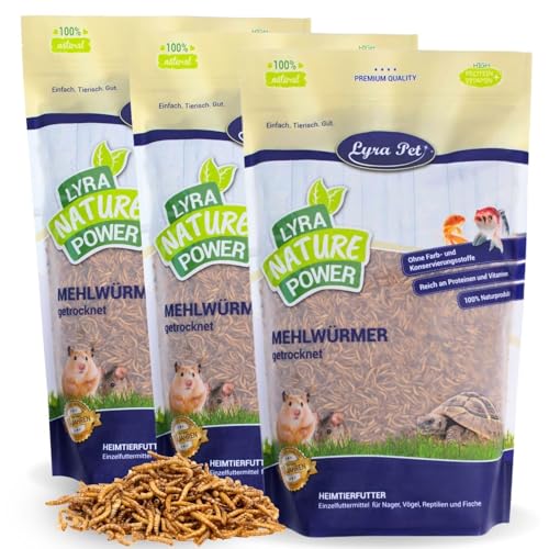 Lyra Pet® | 3 kg Mehlwürmer getrocknet | Proteinreiches Vogelfutter | Für Wildvögel, Nager, Reptilien & Fische | Nahrhaftes Futter | Energiespender für Insektenfresser | Vitamine & Mineralstoffe von Lyra Pet