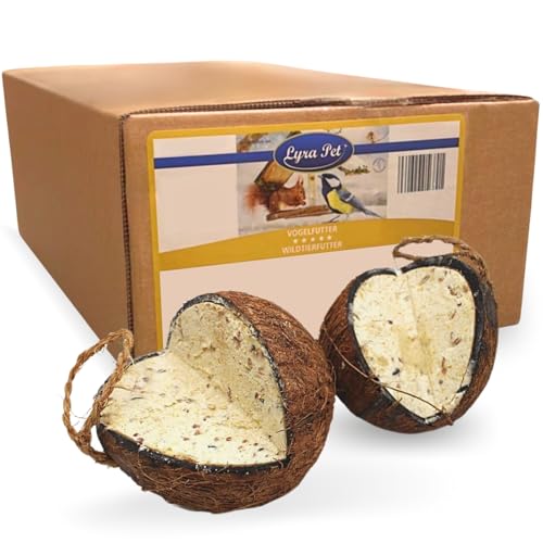 Lyra Pet® | 3 x 4 Ganze Kokosnüsse mit V-Cut Gefüllt | Energiereiches Vogelfutter | Kokosnuss mit fetthaltiger Füllung | Ganzjahres Fettfutter | Wie Meisenknödel | Nährstoffreiches Wildvogelfutter von Lyra Pet