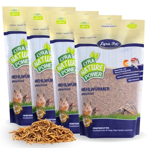 Lyra Pet® | 4 x 1 kg Mehlwürmer getrocknet | Proteinreiches Vogelfutter | Für Wildvögel, Nager, Reptilien & Fische | Nahrhaftes Futter | Energiespender für Insektenfresser | Vitamine & Mineralstoffe von Lyra Pet