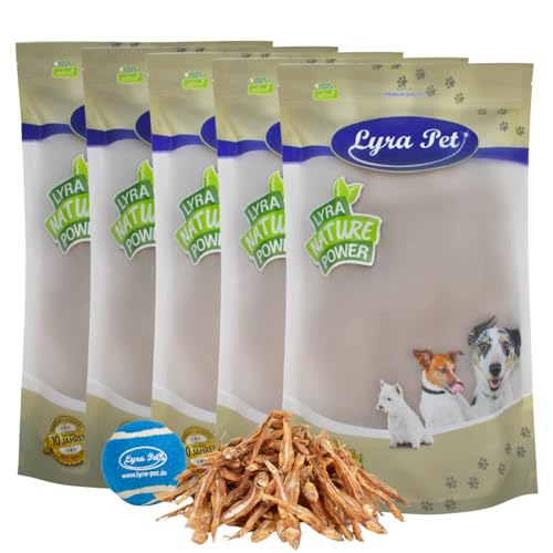 Lyra Pet® 5 kg Kleine Fische getrocknet Trockenfisch Hundefutter Snack fettarm schonend getrocknet Trockenfisch Leckerli Kausnack Kauartikel für Hunde Kauspaß + Tennis Ball von Lyra Pet