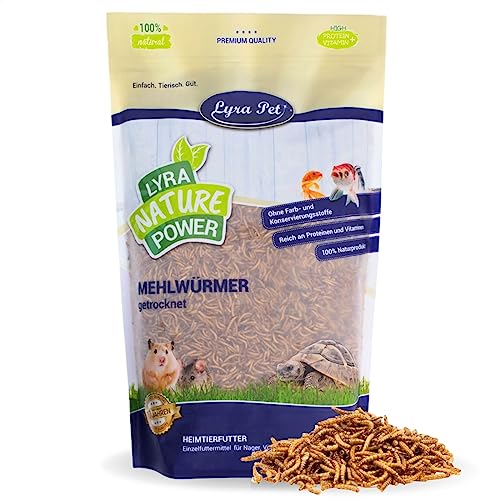 Lyra Pet® | 5 kg Mehlwürmer getrocknet | Proteinreiches Vogelfutter | Für Wildvögel, Nager, Reptilien & Fische | Nahrhaftes Futter | Energiespender für Insektenfresser | Vitamine & Mineralstoffe von Lyra Pet