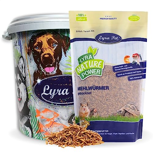 Lyra Pet® | 5 kg Mehlwürmer getrocknet + 30 L Tonne | Proteinreiches Vogelfutter | Für Wildvögel, Nager & Fische | Nahrhaftes Futter | Energiespender für Insektenfresser | Vitamine & Mineralstoffe von Lyra Pet