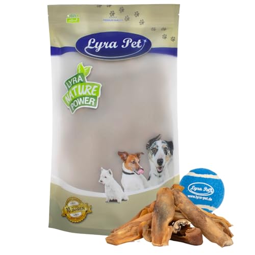 Lyra Pet® 5 kg Rinderkopfhaut Goldbraun Kaustreifen Snack Hundefutter + Tennis Ball von Lyra Pet