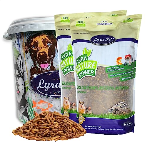 Lyra Pet® | 5 kg Soldatenfliegenlarven + 30 L Tonne | Black Soldier Fly | Hermetia Illucens | Wie Mehlwürmer | Reich an Kalzium & Proteinen | Energiereiches Futter für Vögel, Fische, Nager & Reptilien von Lyra Pet