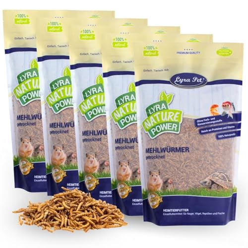 Lyra Pet® | 5 x 1 kg Mehlwürmer getrocknet | Proteinreiches Vogelfutter | Für Wildvögel, Nager, Reptilien & Fische | Nahrhaftes Futter | Energiespender für Insektenfresser | Vitamine & Mineralstoffe von Lyra Pet