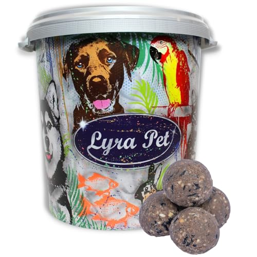 Lyra Pet® | 50 Gourmet Meisenknödel ohne Netz à 80 g in 30 L Tonne | Energiespender für Wildvögel | Fetthaltiges Wildvogelfutter | Kraftspendendes Fettfutter | Vogelfutter für Sommer & Winter von Lyra Pet
