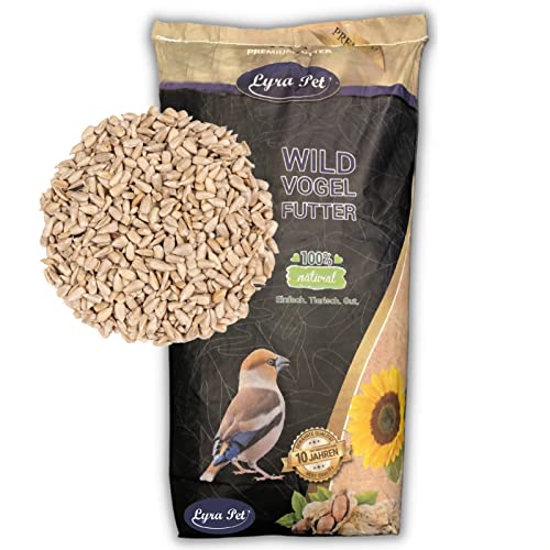 Lyra Pet® | 25 kg Sonnenblumenkerne Geschält | Neue Ernte 2022 | Ganzjahres Vogelfutter für Wildvögel l Für Kleine Vögel & Jungtiere Geeignet | Optimaler Energielieferant | Ideal für Balkon & Terrasse von Lyra Pet