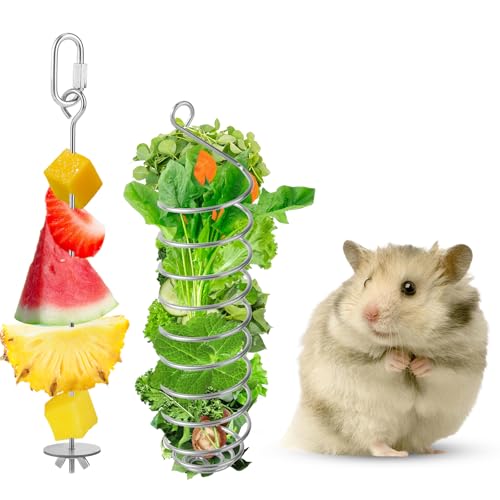 Lyreh 2stk Futterspielzeug Ratten, 2 Arten Futterspielzeug Edelstahl Bereicherung Ratten Praktischer Futterspender Aufhängen Obst und Gemüse Geeignet für Nagetiere Vögel von Lyreh