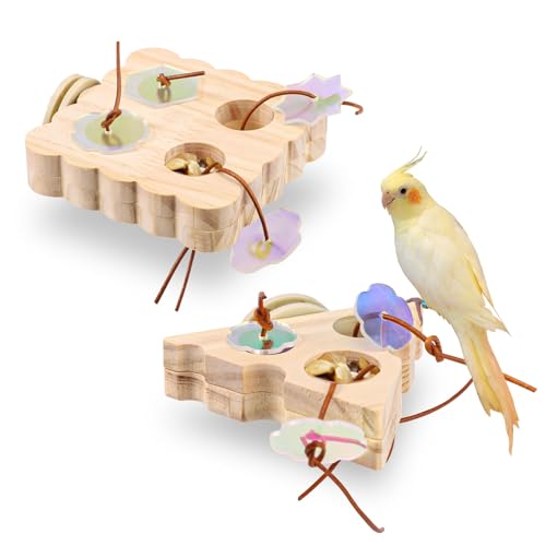 Lyreh 2stk Futterspielzeug für Kleine Vögel, Interaktive Papageien Futterspielzeug Papageienkäfig Zubehör für Kleine Vögel von Lyreh