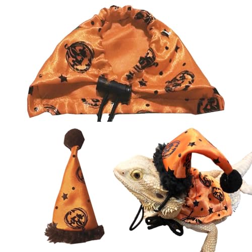 Barbu Drache Kleidung – Halloween Kostüm verstellbar | Bunte Kleidung für Reptilientiere, süßes süßes Bart-Drachen-Kostüm, ideal für Partys, Veranstaltungen und Fotos von Lyricalist