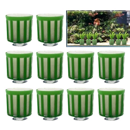Fixes Set für Aquatics – Set mit festen Ringen für Aquarien, Reparaturtöpfe für Aquarium | 10 Stück Pflanzbecher und Zubehör für Aquarien, ideal zur Befestigung von Fixes Set für Aquatics – Set mit festen Ringen für Aquarien, Reparaturtöpfe für Aquarium | 10 Stück Pflanzbecher und Zubehör für Aquarien, ideal zur Befestigung von von Lyricalist