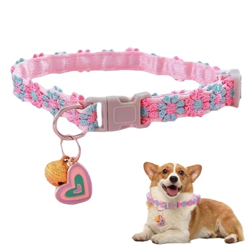 Katzenhalsbänder mit Glocken, Katzenhalsband, verstellbar, mit Glocken für Katzen – Kätzchenhalsband mit Sicherheitsschnalle, tragbar, für männliche Katzen, Mädchen, Welpen Katzenhalsbänder mit Glocken, Katzenhalsband, verstellbar, mit Glocken für Katzen – Kätzchenhalsband mit Sicherheitsschnalle, tragbar, für männliche Katzen, Mädchen, Welpen von Lyricalist