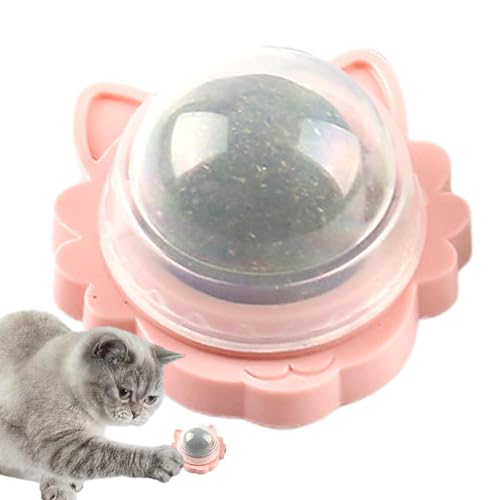 Katzenminze-Bälle, Katzenminze-Rollerball-Wand | Gesundes Kau- und Zahnreinigungsspielzeug für Kätzchen - Interaktive Katzenminze-Bälle, sicheres Katzenminze-Spielzeug, drehbare, natürliche, gesunde K Katzenminze-Bälle, Katzenminze-Rollerball-Wand | Gesundes Kau- und Zahnreinigungsspielzeug für Kätzchen - Interaktive Katzenminze-Bälle, sicheres Katzenminze-Spielzeug, drehbare, natürliche, gesunde K von Lyricalist