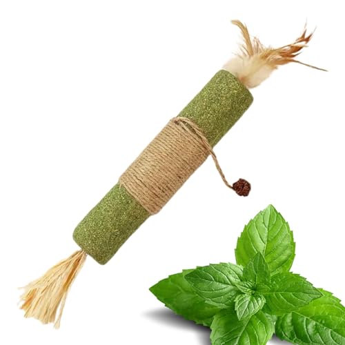 Silvervine Sticks Katzenspielzeug,Silvervine Kausticks für Katzen,30 cm Katzenminze-Kaustäbchen Katzenspielzeug | Katzen-Leckerli-Spielzeug, Katzen-Beißspielzeug, Katzen-Zahnpflege für Katzen und Kätz Silvervine Sticks Katzenspielzeug,Silvervine Kausticks für Katzen,30 cm Katzenminze-Kaustäbchen Katzenspielzeug | Katzen-Leckerli-Spielzeug, Katzen-Beißspielzeug, Katzen-Zahnpflege für Katzen und Kätz von Lyricalist