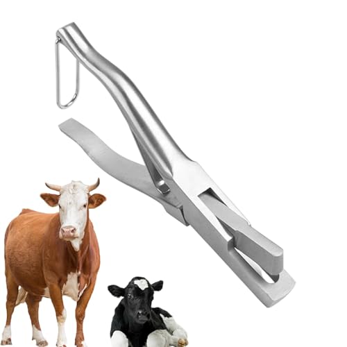 Viehmarkierklammer, Tierohretikettenklemme, Zuchtfarm-Ohretikettenzange aus Edelstahl, Stanzzange für die Tierpflege, für die Tierhaltung Viehmarkierklammer, Tierohretikettenklemme, Zuchtfarm-Ohretikettenzange aus Edelstahl, Stanzzange für die Tierpflege, für die Tierhaltung von Lyricalist