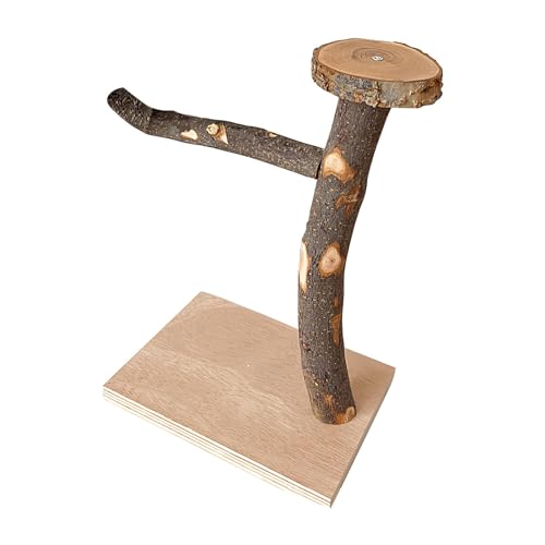 Vogelkäfigspielzeug aus, Vogelsitzspielzeug | Hölzerner Papageienspielzeug-Ständer zum Kauen - Vogelkauspielzeug aus massivem für Sittiche, mittelgroße Papageien, Wellensittiche, Nymphensitt Vogelkäfigspielzeug aus, Vogelsitzspielzeug | Hölzerner Papageienspielzeug-Ständer zum Kauen - Vogelkauspielzeug aus massivem für Sittiche, mittelgroße Papageien, Wellensittiche, Nymphensitt von Lyricalist