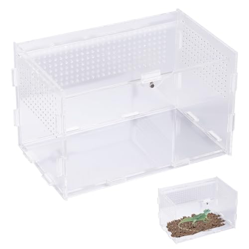 Acryl Terrarium Schnecken 20 x 12 x 12 cm, Transparente Terrarium Klein mit LuftlöCher, Kleines Reptile Fütterungsbox Ideal für Springspinnen, Eidechsen, Schnecken, Käfer, Gottesanbeterin, Geckos Acryl Terrarium Schnecken 20 x 12 x 12 cm, Transparente Terrarium Klein mit LuftlöCher, Kleines Reptile Fütterungsbox Ideal für Springspinnen, Eidechsen, Schnecken, Käfer, Gottesanbeterin, Geckos von Lytonix