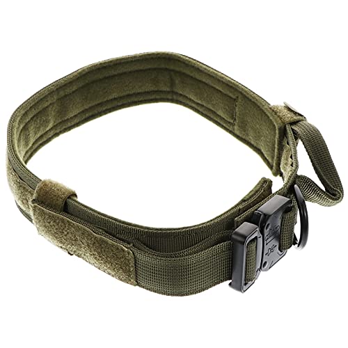 Hundehalsband, verstellbar, Nylon, mit Metallschnalle für das Training (Farbe: Grün, Größe: XL) von M I A