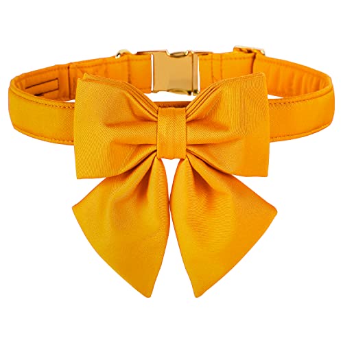 Maca Bates Hundehalsband, 12 einfarbige Farben, Matrosenfliege, verstellbares Halsband mit goldener Metallschnalle von M MACA BATES