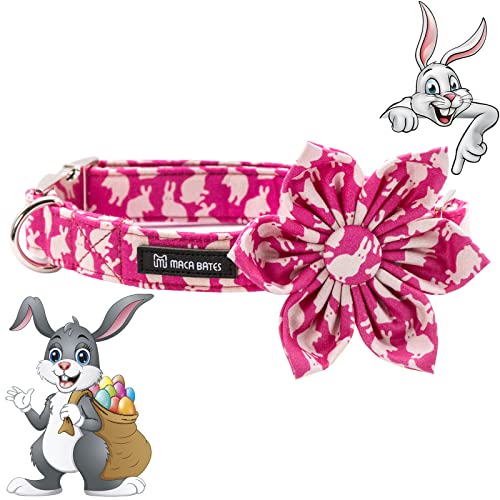 Maca Bates Hundehalsband mit Blume, abnehmbare Blume, niedliche Schleifen für Hunde, Hundeblumenhalsband für kleine, mittelgroße und große Mädchen und Jungen, Geschenk für Damen oder Herren von M MACA BATES