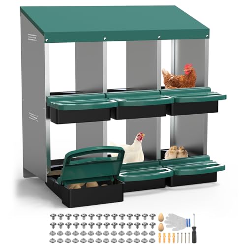 M METERXITY Hühner Nistkasten, 6 Fächer Metall Huhn Legekisten mit Ausrollbare Eiersammlung, Kunststoff Gefälschte Eier, Installationszubehör und Handschuhe für Hühner/Gans/Ente/Kaninchen, Grün M METERXITY Hühner Nistkasten, 6 Fächer Metall Huhn Legekisten mit Ausrollbare Eiersammlung, Kunststoff Gefälschte Eier, Installationszubehör und Handschuhe für Hühner/Gans/Ente/Kaninchen, Grün von M METERXITY