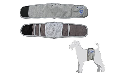 M-PETS Camon Hygieneband für männliche Hunde, Größe XS (Ø 30/34 cm), Grau von M-PETS