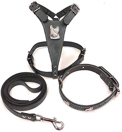 Schönes Hundegeschirr, Halsband und Leine, Leder, Größe M, mit französischen Bulldoggen-Abzeichen, Grau Schönes Hundegeschirr, Halsband und Leine, Leder, Größe M, mit französischen Bulldoggen-Abzeichen, Grau von M&D