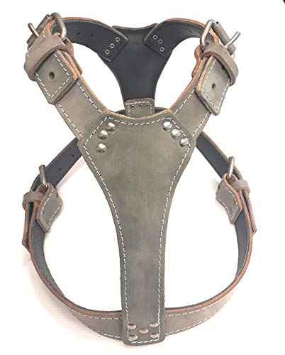 M&D Hundegeschirr, Leder, groß, für Bullterrier, Grau M&D Hundegeschirr, Leder, groß, für Bullterrier, Grau von M&D