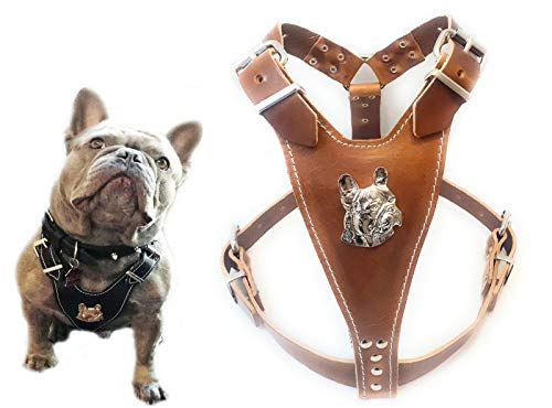 Schönes Hundegeschirr aus braunem Leder, Größe M, mit Motiv Französische Bulldogge, nur für ausgewachsene Französische Bulldoggen von M&D