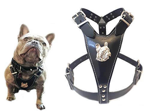 Schönes Hundegeschirr aus Leder, Größe M, mit Motiv Französische Bulldogge, nur für ausgewachsene Französische Bulldoggen, Schwarz von M&D