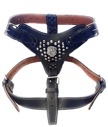 M&D Hundegeschirr aus Leder, extra groß, robust, mit Nieten, Motiv American Bulldog Head, Schwarz M&D Hundegeschirr aus Leder, extra groß, robust, mit Nieten, Motiv American Bulldog Head, Schwarz von M&D