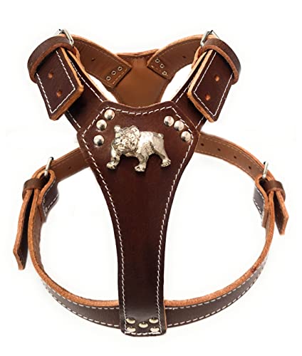 Schönes Hundegeschirr aus Leder mit Motiv Englische Bulldogge, Braun (silberfarbene Beschläge) von M&D