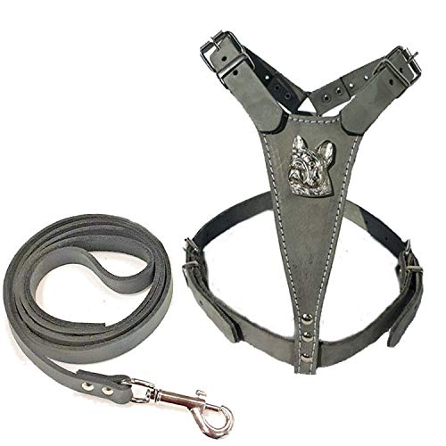 M&D Hundegeschirr und Leine aus Leder, mit französischer Bulldogge und passender Lederleine M&D Hundegeschirr und Leine aus Leder, mit französischer Bulldogge und passender Lederleine von M&D