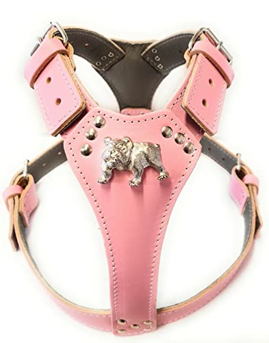 M&D Schönes Hundegeschirr aus Leder mit englischem Bulldoggenkopf (Messingbeschläge) Baby Pink von M&D