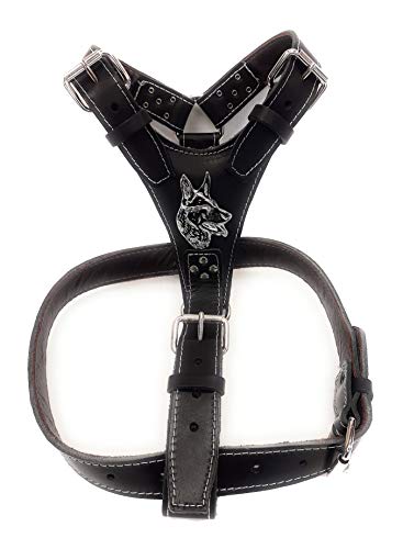 M&D Schwarzes Hundegeschirr aus Leder mit silbernen Beschlägen von M&D