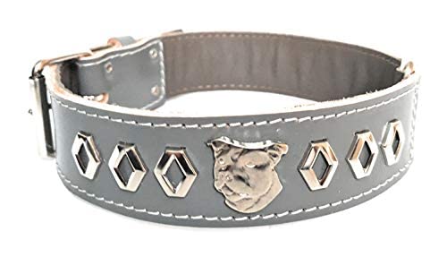 M&D Staffy Hundehalsband, Leder, dekoratives Design, Staffordshire Bull Terrier, 3,8 cm breit, Grau von M&D