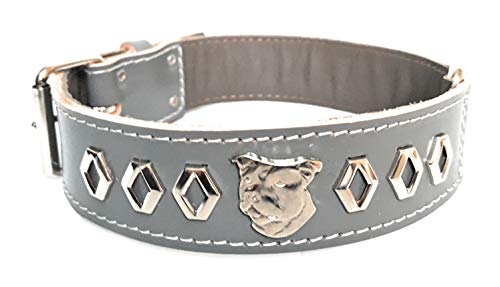 M&D Staffy Hundehalsband, Leder, mit dekorativem Design, Staffordshire Bull Terrier, 3,8 cm breit, Größe L: 50,8 cm – 61 cm, Grau M&D Staffy Hundehalsband, Leder, mit dekorativem Design, Staffordshire Bull Terrier, 3,8 cm breit, Größe L: 50,8 cm – 61 cm, Grau von M&D