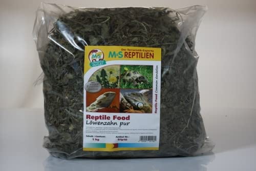 Löwenzahn pur, getrocknet 1 kg Deutsches Naturprodukt! (Siehe Videoanleitung) von M&S Reptilien