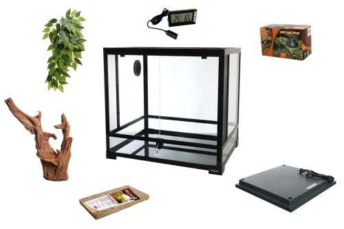 Komplettset: Für Frösche/Pacman Frösche Terrarium mit ReptiZoo Glasterrarium 60x45x32cm (RK0117) von M&S Reptilien