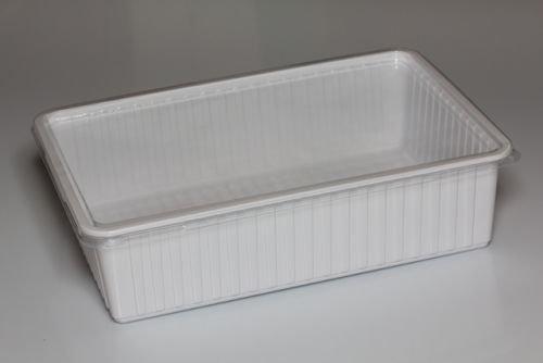 M&S Reptilien Kunststoffbox weiß, XL (36x24x10cm), Deckel transparent von M&S Reptilien