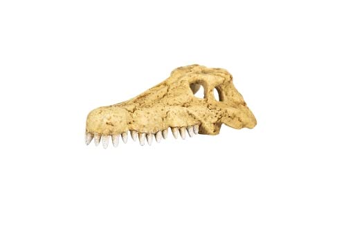 M&S Reptilien ReptiZoo Krokodilschädel (Crocodile Skull Hide Cave) (ERS34) Größen M von M&S Reptilien