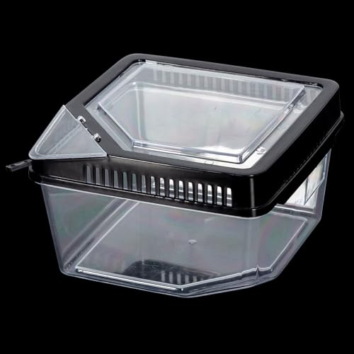 ReptiZoo Kunststoffbox (Terrarium) (17,7x17,7x11cm)(RT2019) von M&S Reptilien