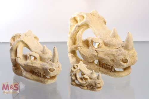 M&S Reptilien ReptiZoo Nashornschädel (Rhino Skull Hide Cave) (ERS35) Größen L von M&S Reptilien