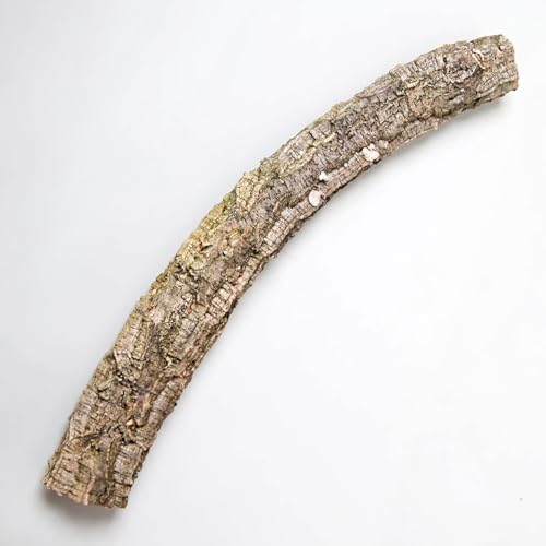 M&S Reptilien Zierkork Tronchos -einfach- ca.30-50 cm von M&S Reptilien