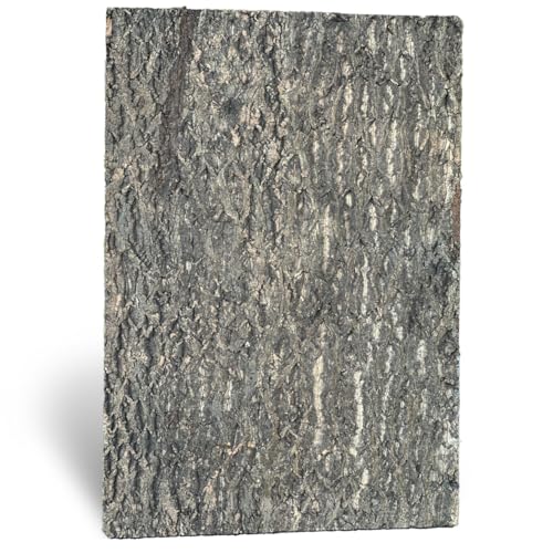 M&S Reptilien Zierkorkrückwand Nature Plattengröße 90 x 60 x 2cm (DPCT061) von M&S Reptilien