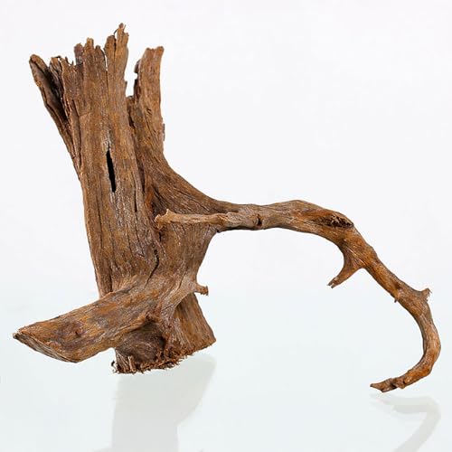 M&S Reptilien Mangrovenwurzel - medium/Large 40-50cm von M&S Reptilien