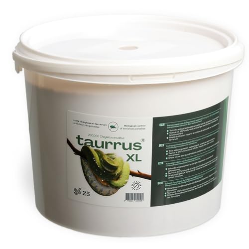 TAURRUS XL (für ca. 50 Tiere) Raubmilben zur Milbenbekämpfung von M&S Reptilien