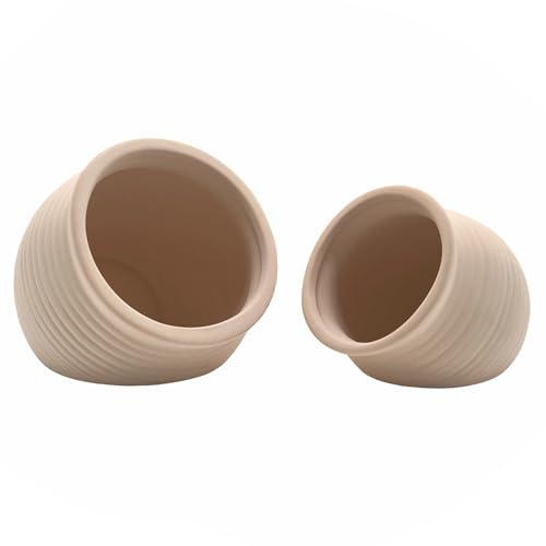 M2cbridge Pottery Keramikgefäß, Naturtonvase, Buntbarsch, kleine Fische, Garnelen zum Spielen, Verstecken von Rassen (cremiger Ton, 2 Stück) von M2cbridge
