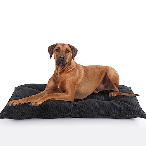 MABOZOO Kaufeste, unzerstörbare Hundebetten für aggressive Kauer, strapazierfähige Hundebox-Pad, waschbar, robuste Haustiermatten für Zwinger, Schwarz, Größe XL, 71,1 x 104,1 cm MABOZOO Kaufeste, unzerstörbare Hundebetten für aggressive Kauer, strapazierfähige Hundebox-Pad, waschbar, robuste Haustiermatten für Zwinger, Schwarz, Größe XL, 71,1 x 104,1 cm von MABOZOO